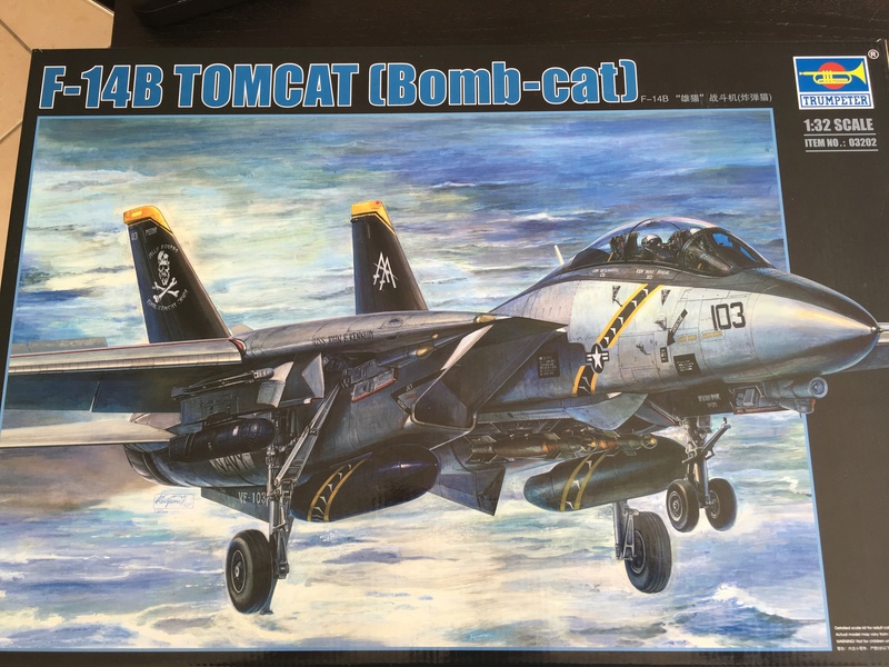 F-14b tomcat "VF-103 Jolly Rogers" 1/32ème Trumpeter Img_3913