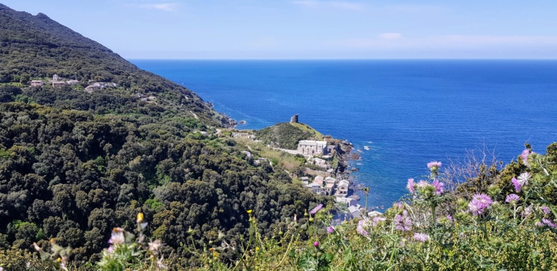 Mai en "Alpina Twin" Corse 20190512