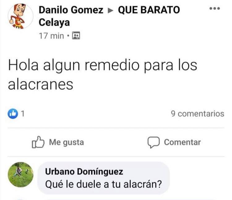 El chiste de hoy. - Página 9 15959210