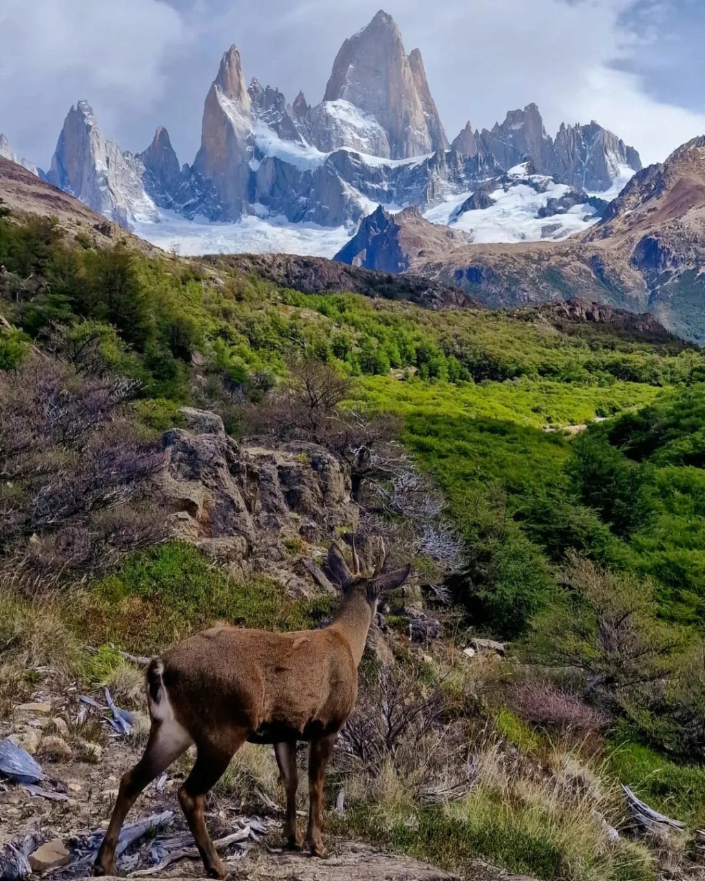 Imàgenes con animales.... - Página 36 33478110