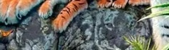  ¿Cuántos tigres hay en la imagen? Piedra10
