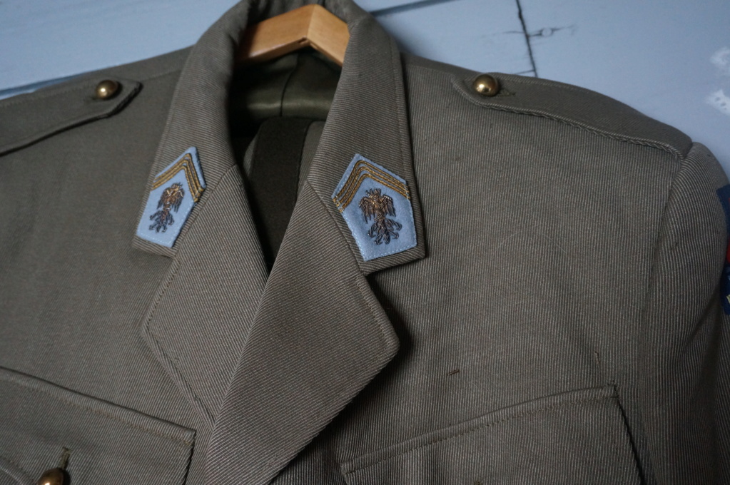 Aide Identification uniforme d'officier 1936-1959 Dsc03422
