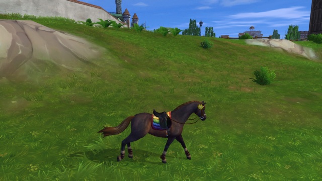 Star Stable Galeries Fullsi85