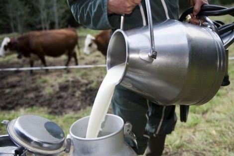 فيدرالية جديدة تمثل سلسلة إنتاج الحليب في المغرب Fimala10