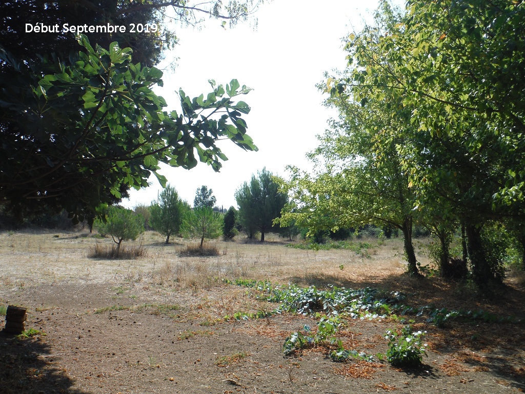 JdB de 4 hectares de pâtures dans le SUD : petit bilan - Page 13 14038p10