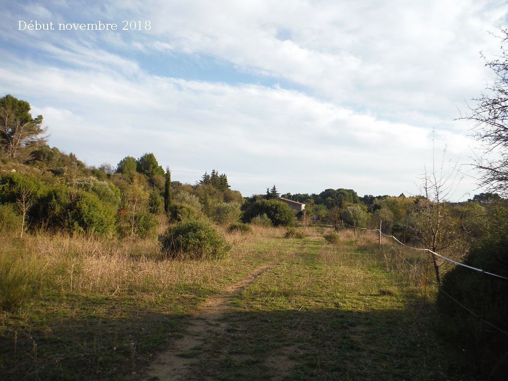 JdB de 4 hectares de pâtures dans le SUD : Avril 2019, et toujours la sécheresse... - Page 9 2028pa10