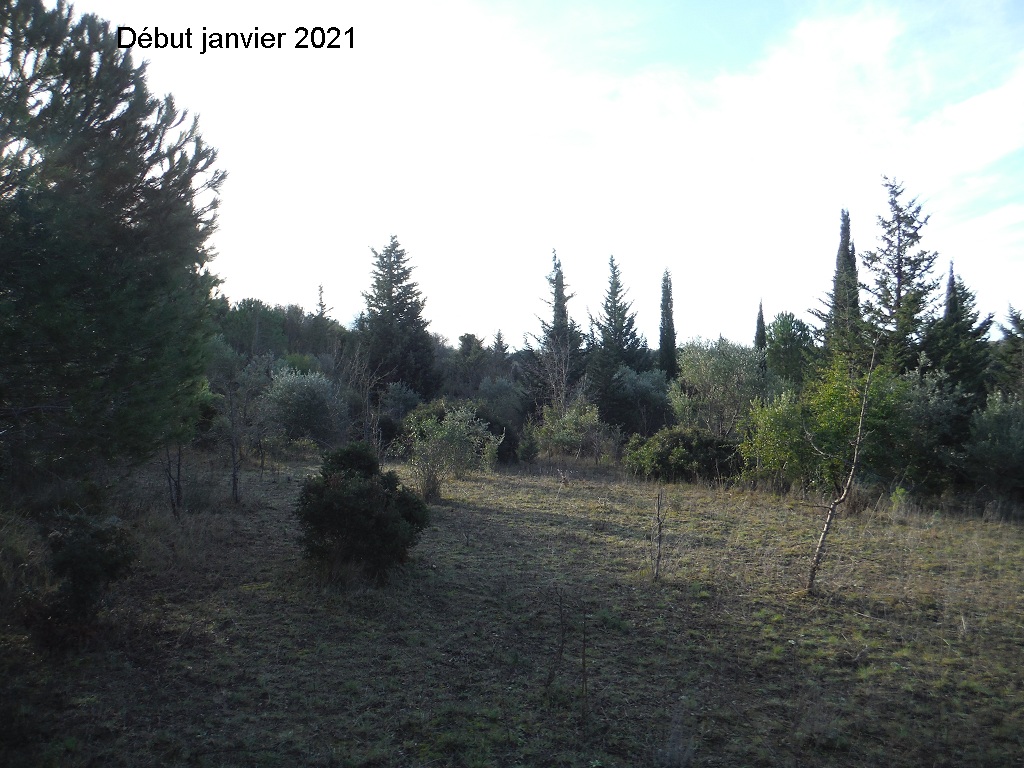 JdB de 4 hectares de pâtures dans le SUD : petit bilan - Page 16 A553pa10
