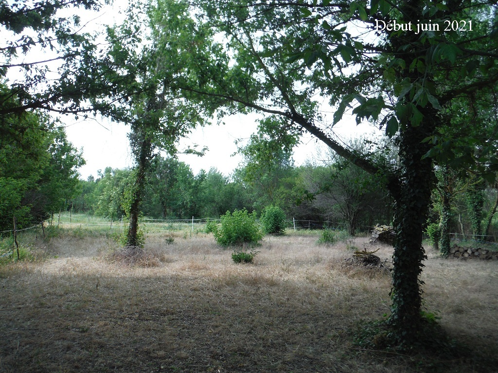 JdB de 4 hectares de pâtures dans le SUD : petit bilan - Page 18 B158pa10