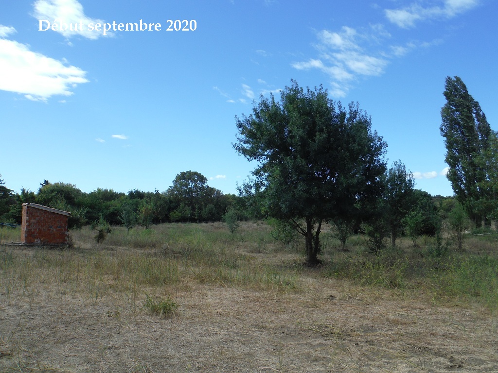 JdB de 4 hectares de pâtures dans le SUD : petit bilan - Page 15 C449pa10