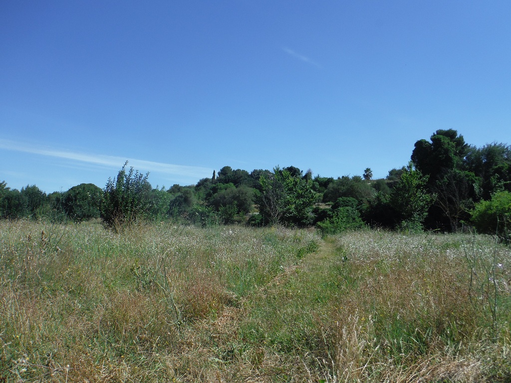 JdB de 4 hectares de pâtures dans le SUD : petit bilan - Page 15 E648pa10