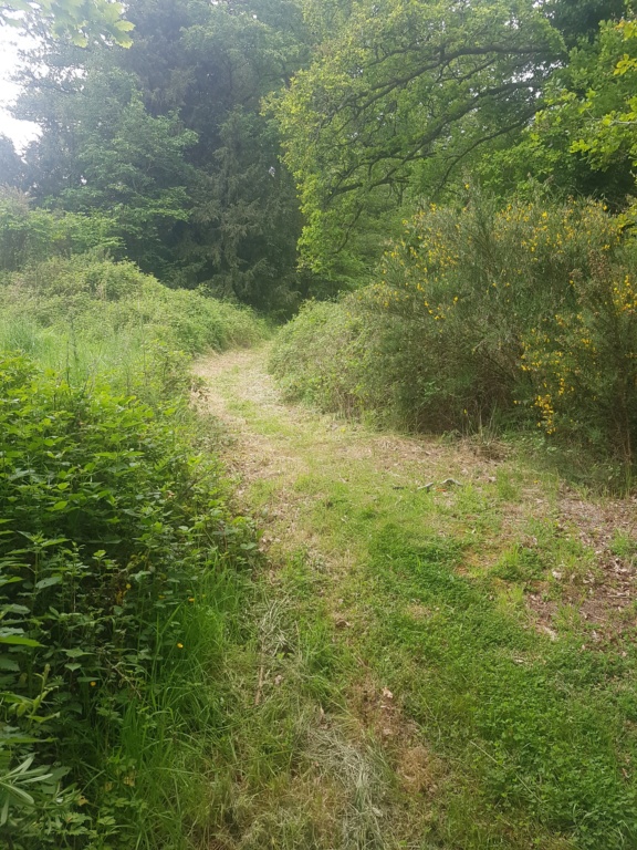 le sentier de Tuchennou au bourg de Brasparts 20190510