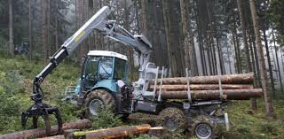 PFANZELT, un forestier récent et peu connu Pfanze10