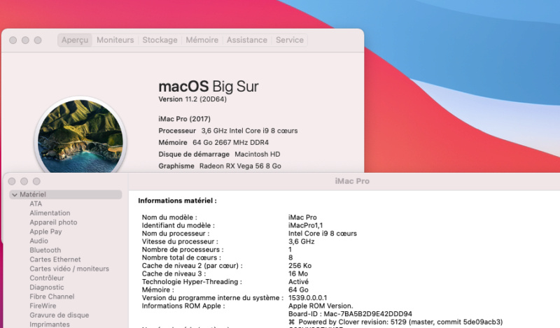 Mise a jour macOS Big Sur 11.2 (20D64) Captu176