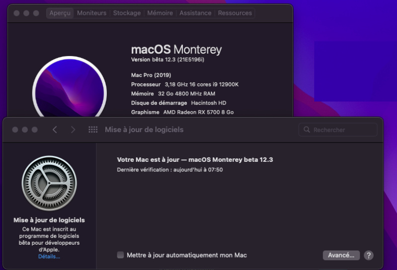 macOS Monterey 12.0 / 12.1 / 12.2 / 12.3 / 12.4 / 12.5  Beta - Page 11 Captu346