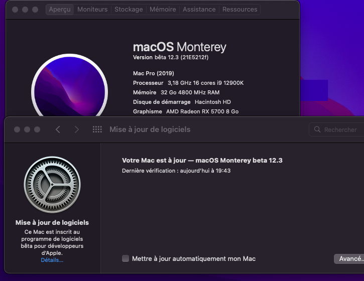 macOS Monterey 12.0 / 12.1 / 12.2 / 12.3 / 12.4 / 12.5  Beta - Page 11 Captu349