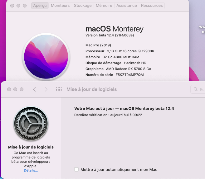 macOS Monterey 12.0 / 12.1 / 12.2 / 12.3 / 12.4 / 12.5  Beta - Page 12 Captu358