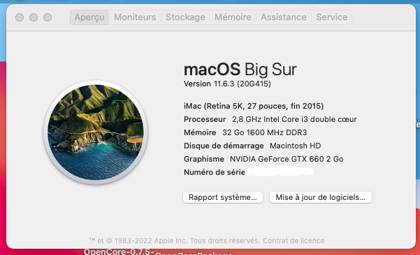 macOS Big Sur 11.6.3 Untitl49