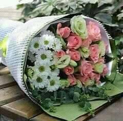 Flowers GentilMen 49545910