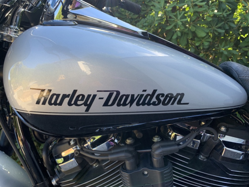 Sport Glide 2019 Img_7026