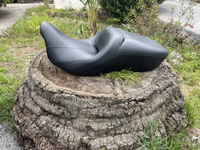 Selle confort et porte paquet origine HD Touring Img_9215