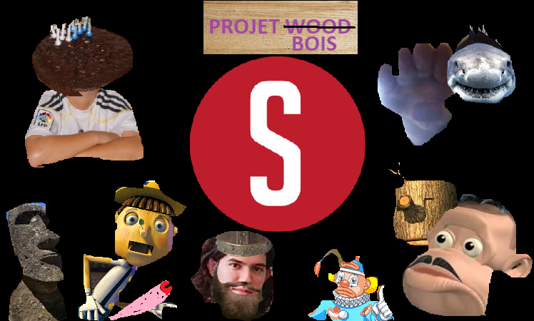 PROJET BOIS