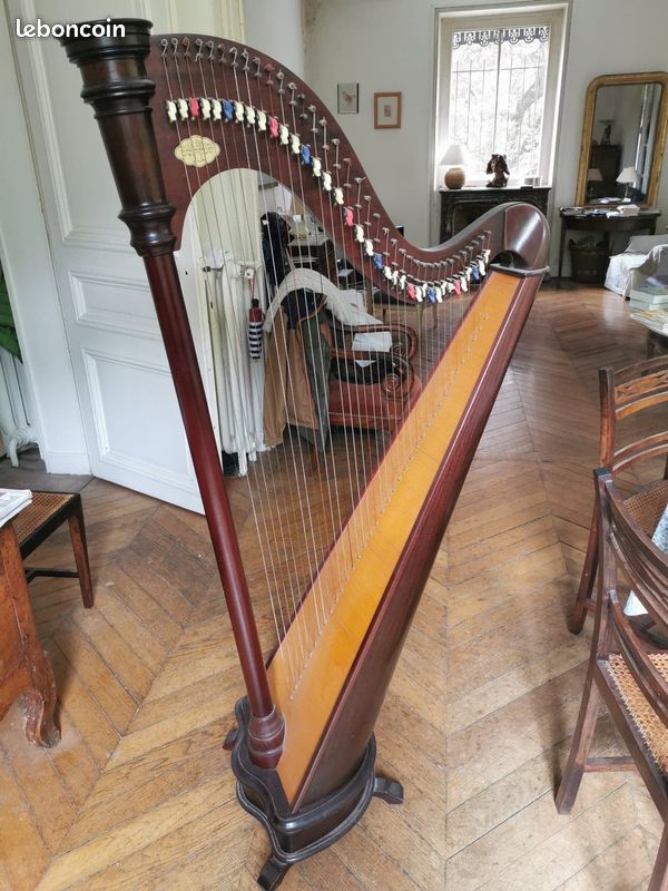 Quel est le modèle de cette harpe ?  731a9d10