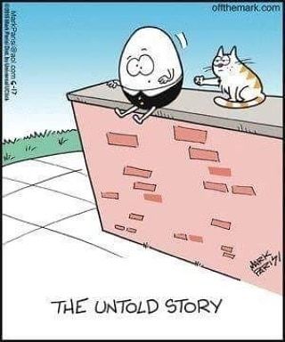 Cat Lovers Will Get This One Humpty10