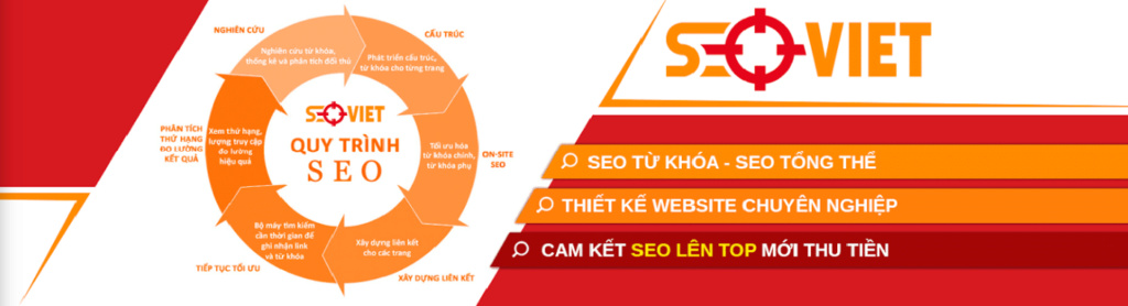 Giới thiệu Seo Viêt  Banner10