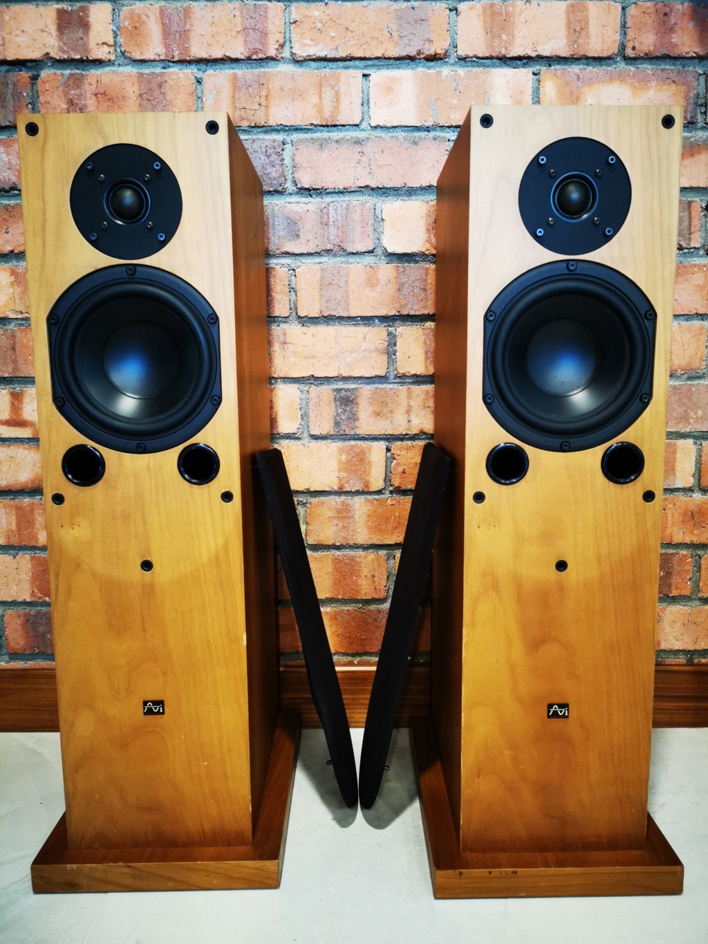 AVI Duo Monitor Speakers - Sold Img_2039