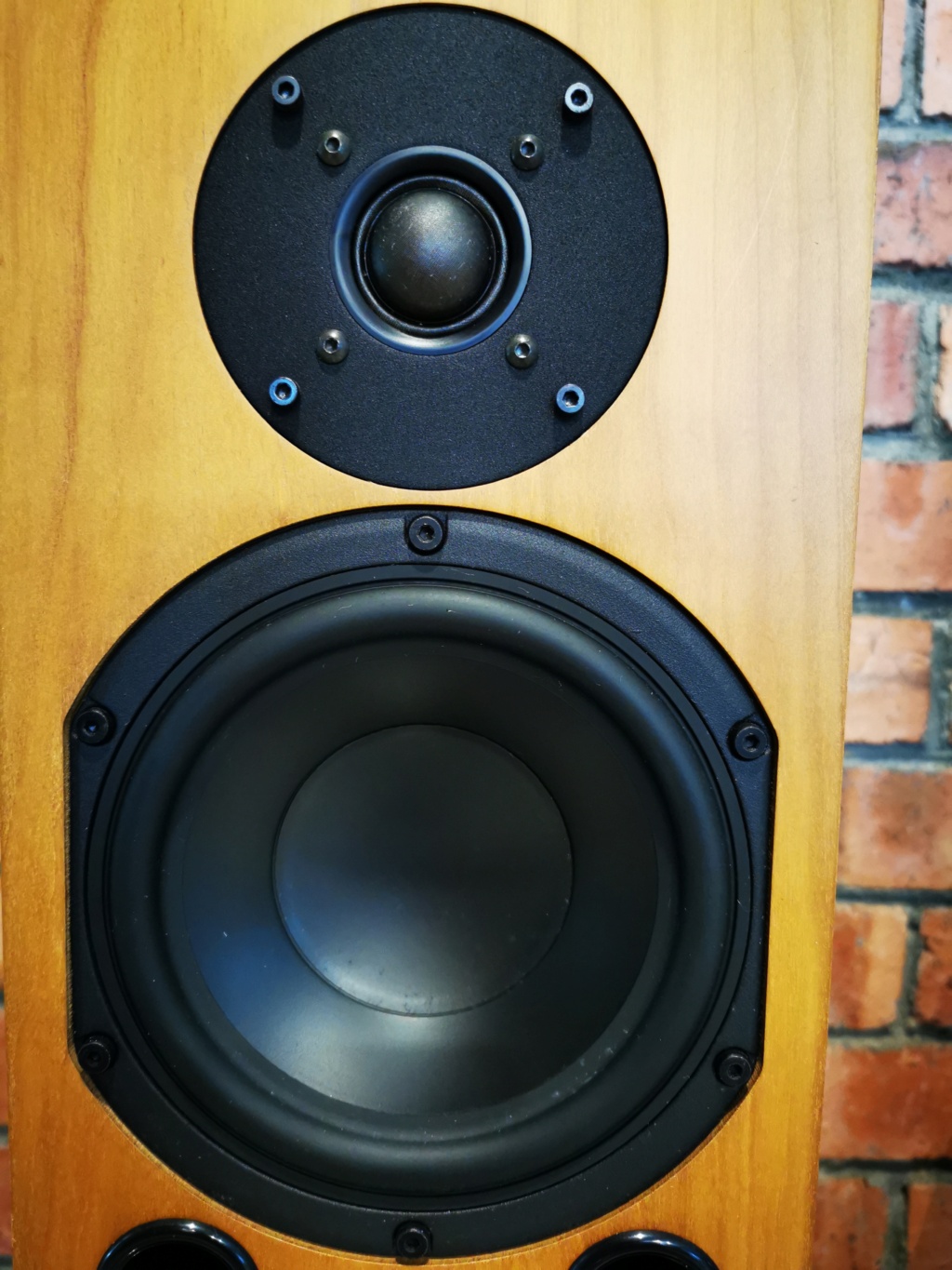 AVI Duo Monitor Speakers - Sold Img_2041