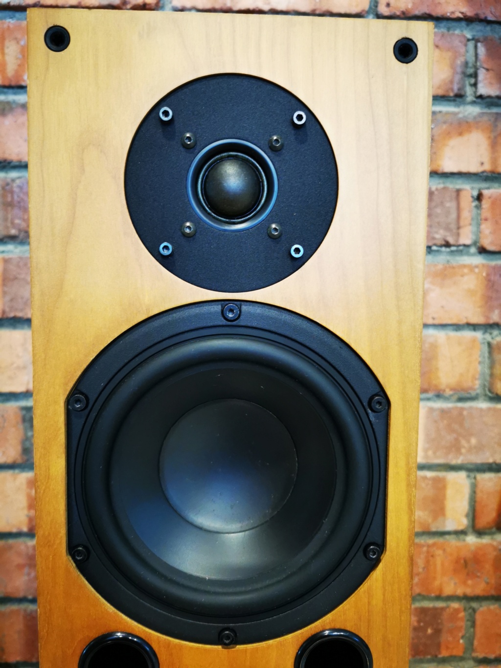 AVI Duo Monitor Speakers - Sold Img_2043