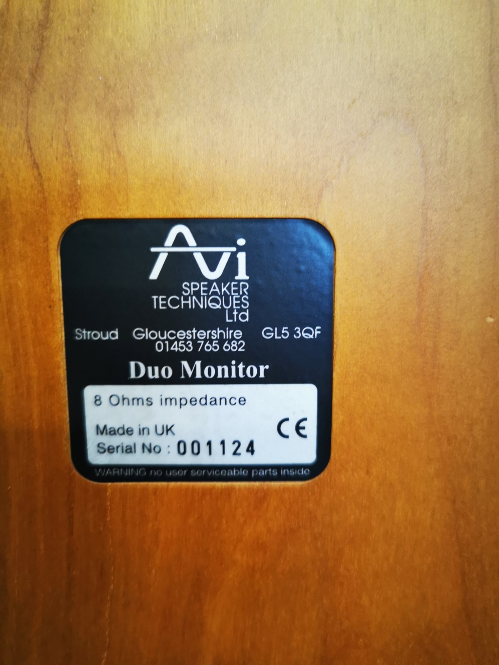 AVI Duo Monitor Speakers - Sold Img_2045