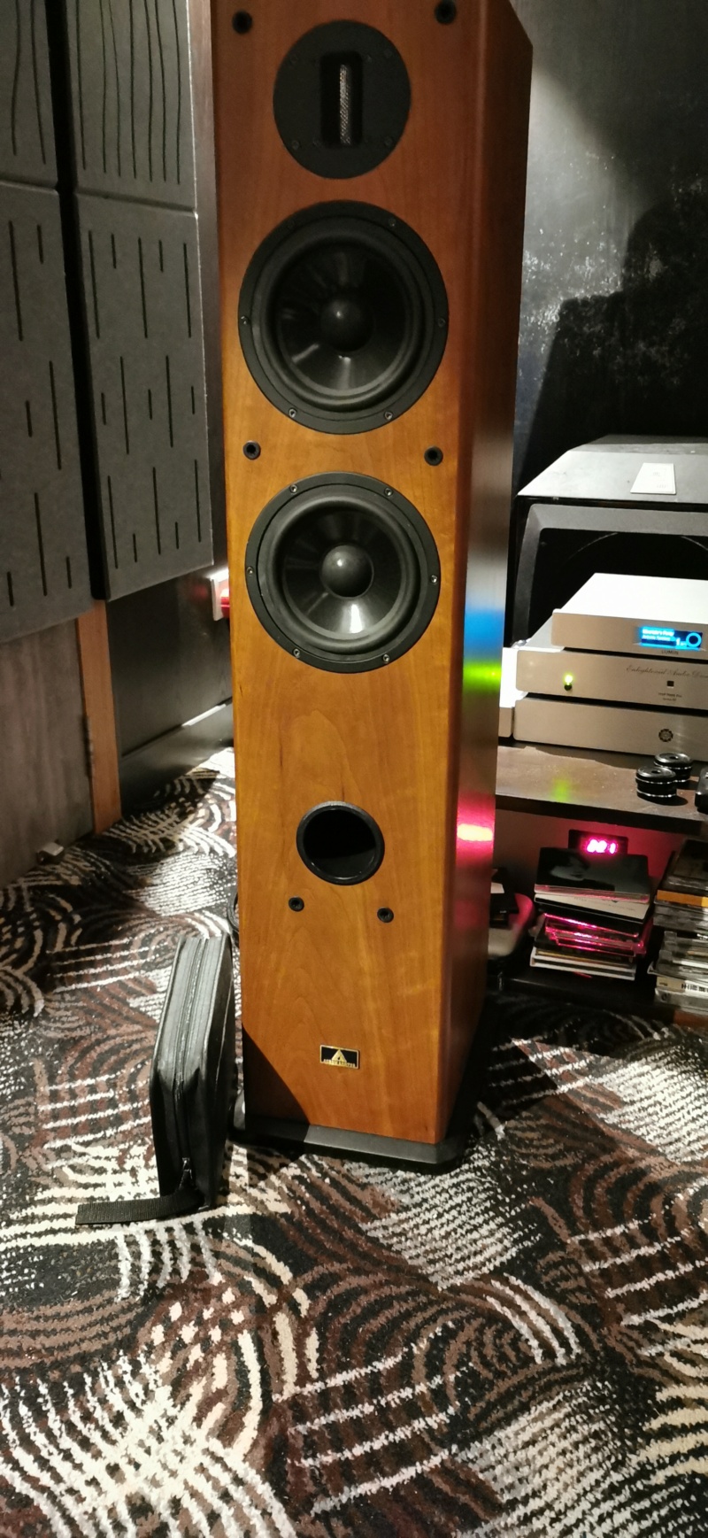 Aurum Cantus 620 Floorstanding Speakers (Price Reduced)-SOLD Img_2108