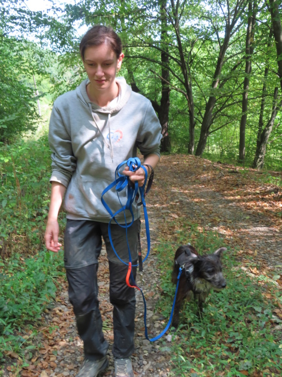 TINOU - URGENCE - chiot mâle, de taille petite à moyenne à l'âge adulte - né environ en janvier 2023 - REMEMBER ME LAND - Adopté par Anne (Belgique) Tinou_18