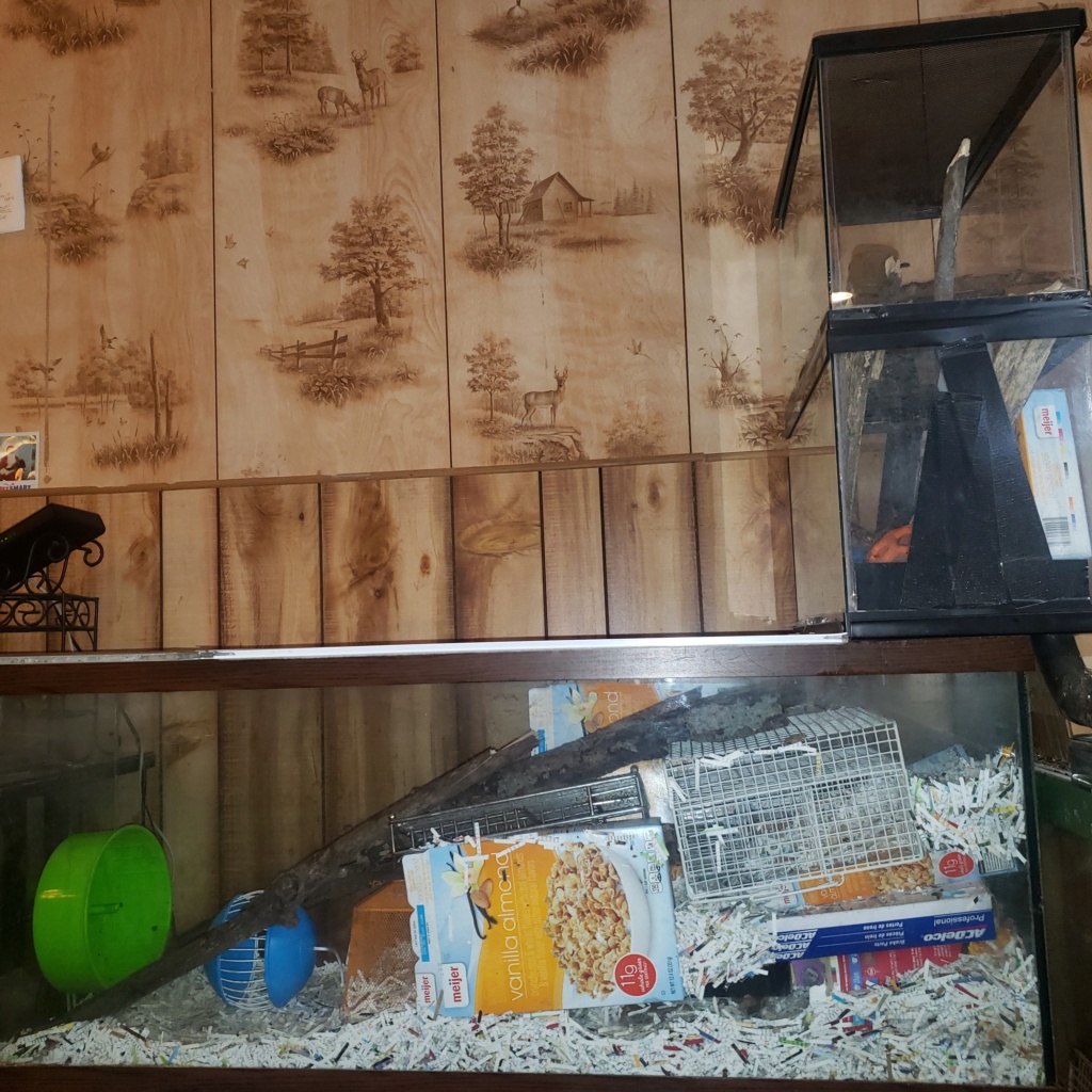Questions about Cage Setup 20220811