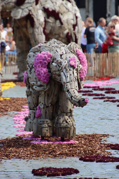 La beauté de la Grand-Place de Bruxelles Elepha14