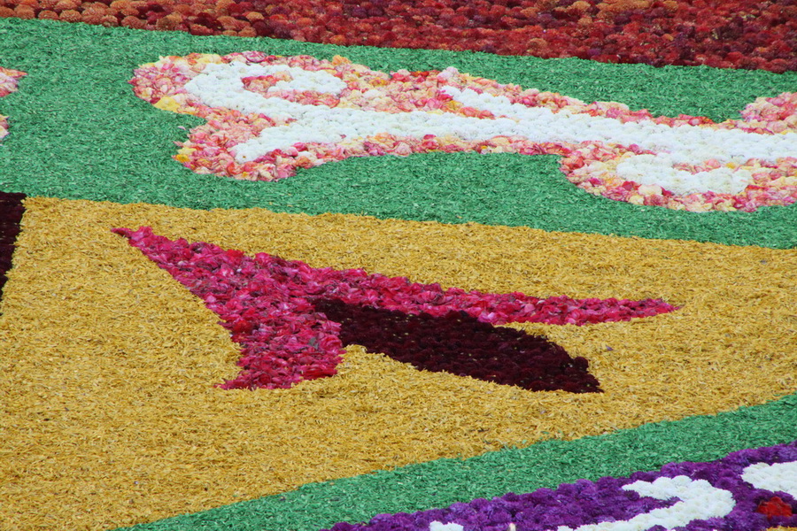 Le tapis de fleur sur la plus belle grand place du Monde Tapis_17
