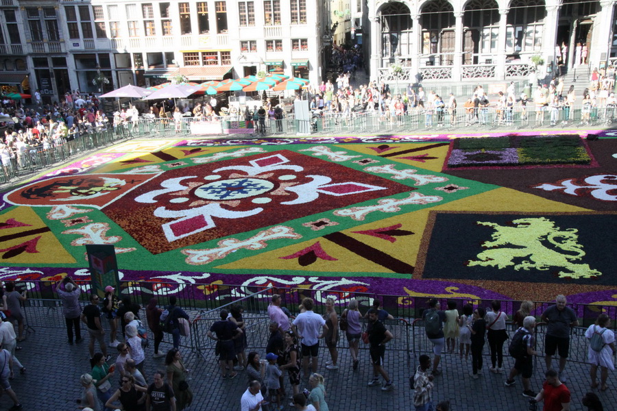 Le tapis de fleur sur la plus belle grand place du Monde Tapis_25