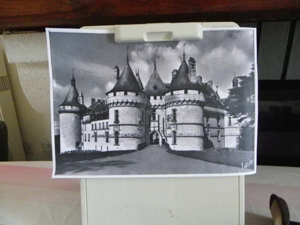 château de Chaumont sur Loire  Imgp8812