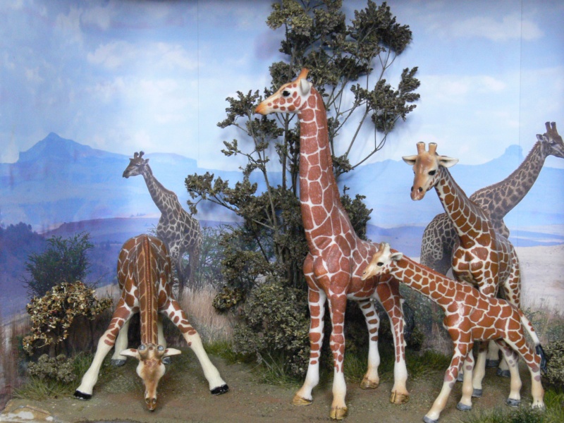 Meine Tierdioramen Giraff10