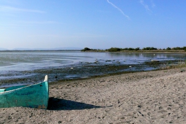 Canet-en-Roussillon. Canet_16