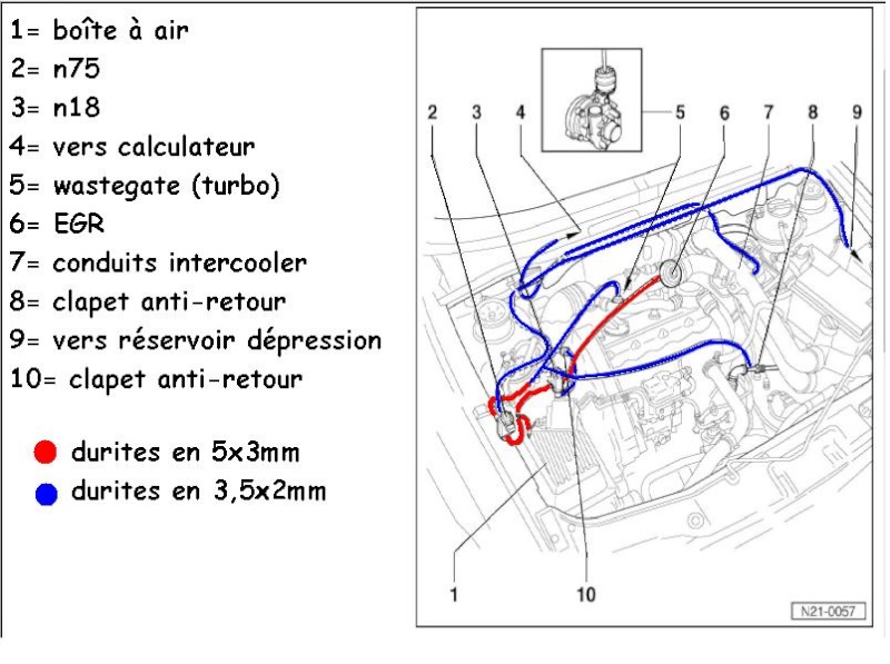 Conseils, données et schémas complet du circuit de dépression GOLF TDI AFN