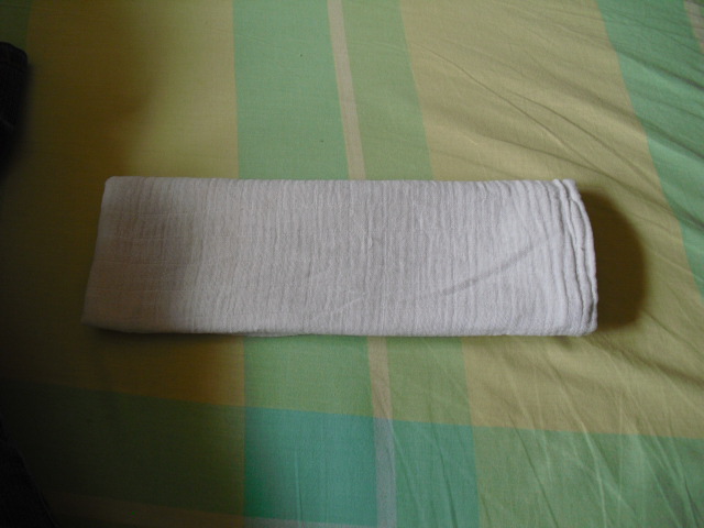 couche ou lange? Cimg1924