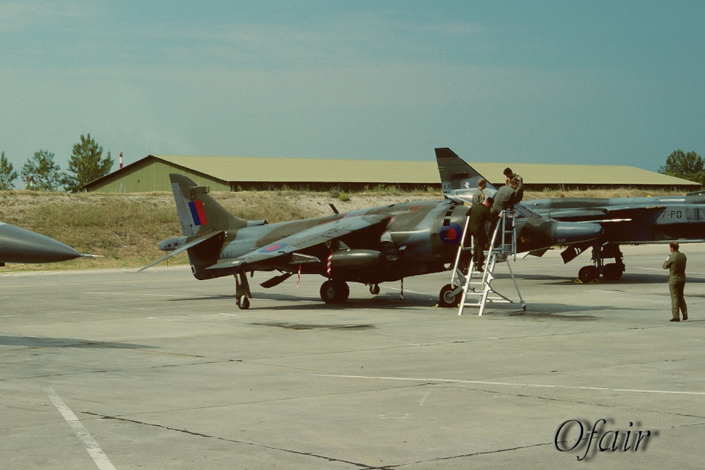 Harrier et Sea Harrier britanniques - Page 3 Xv738_10