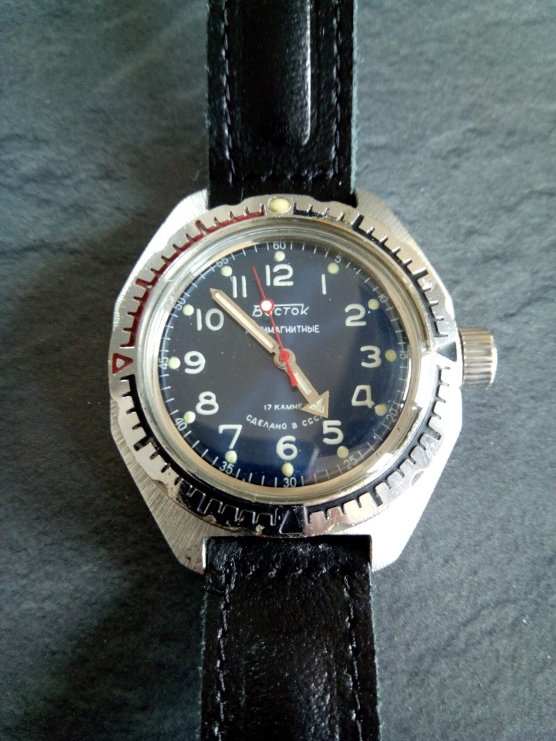 Vostok ALBATROS Img_2022