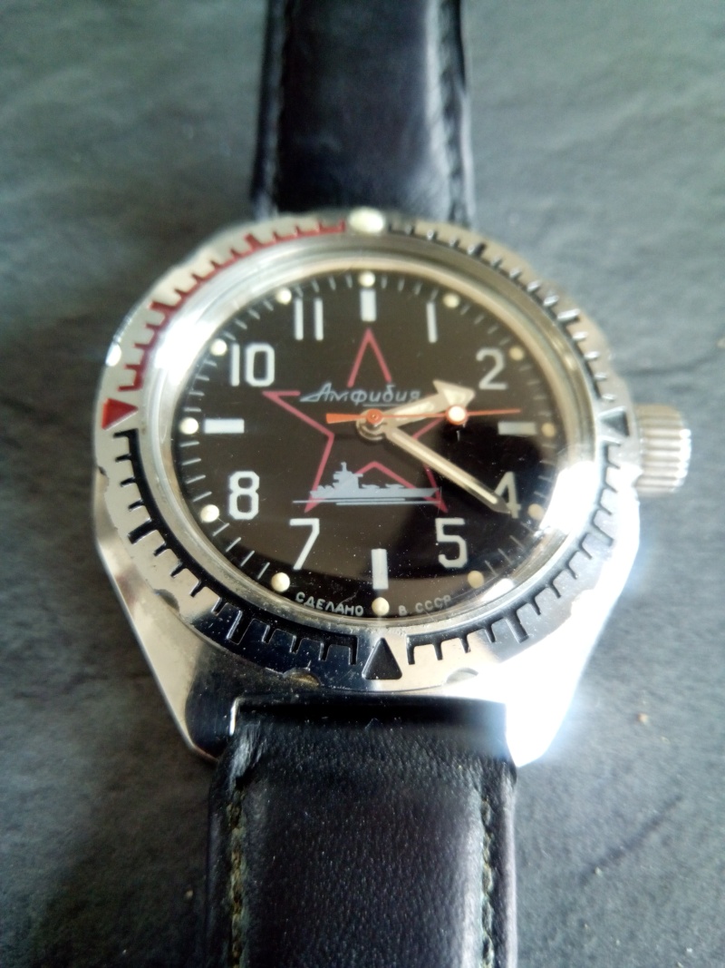 Vostok ALBATROS Img_2030