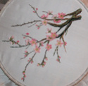 Ma branche de cerisier Cerisi13