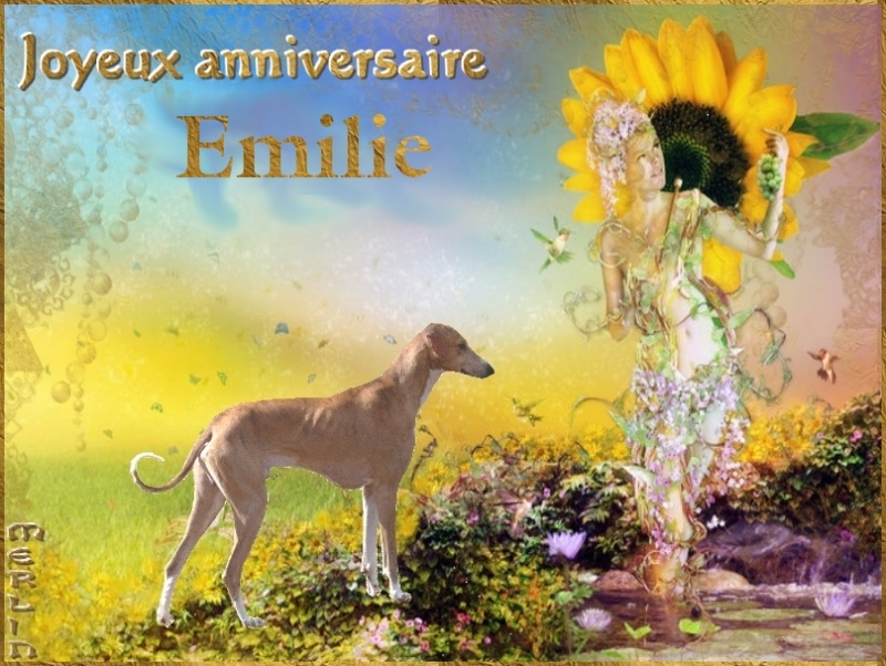 Emilie C Est Ton Anniversaire Aujourd Hui Salle Des Fetes Nimo
