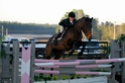 ♣ Loulita Dream Horse ♣ Clem7-10