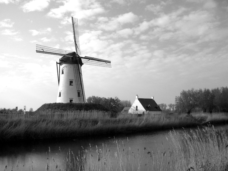 Un moulin de Hollande Img_1611